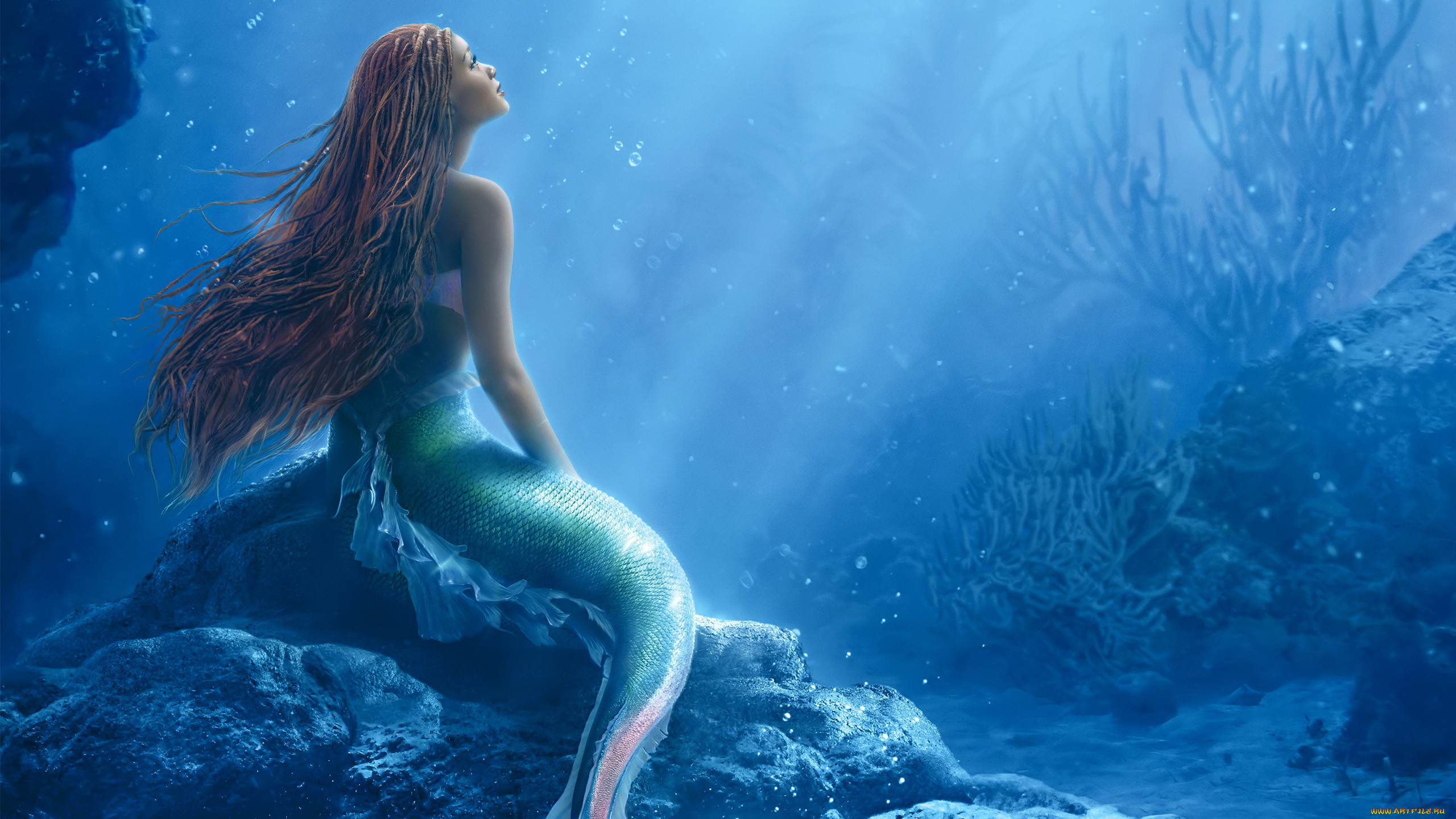 Обои Кино Фильмы The Little Mermaid, обои для рабочего стола, фотографии  кино фильмы, the little mermaid, the, little, mermaid, русалочка Обои для  рабочего стола, скачать обои картинки заставки на рабочий стол.